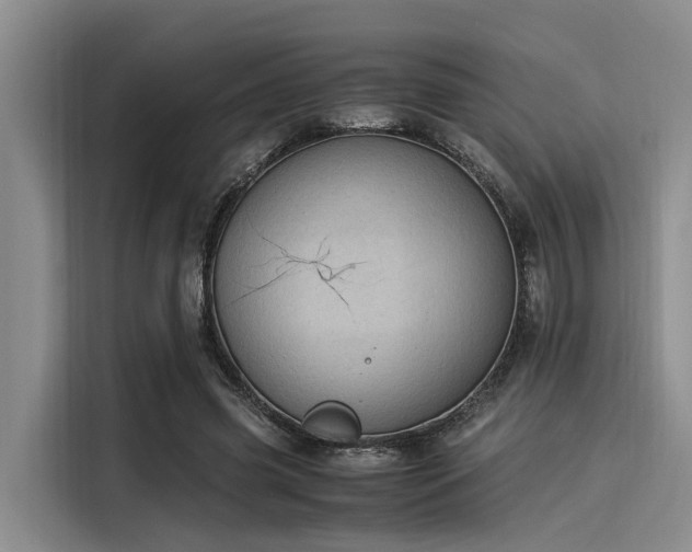 X0000116050541200911271220