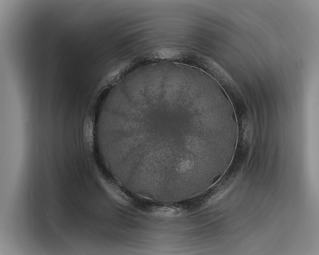 X0000116050542200911271220