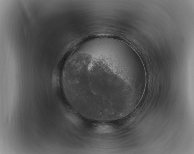 X0000116050547200911271220