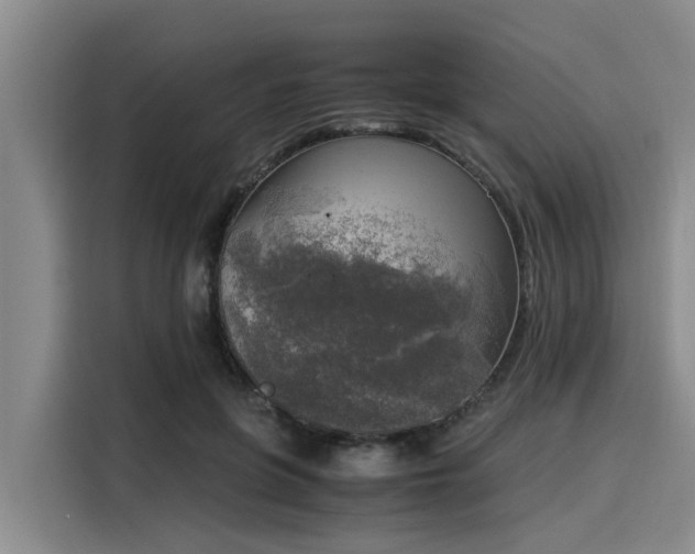 X0000116050551200911271220