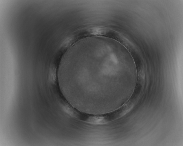 X0000116050554200911271220