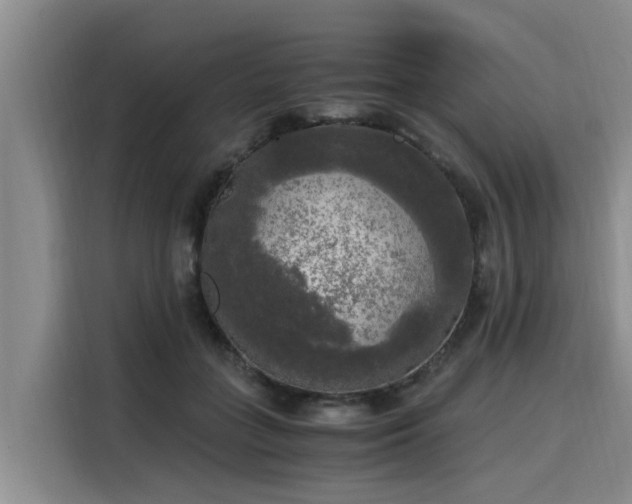 X0000116050555200911271220