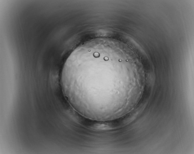 X0000116050557200911271220
