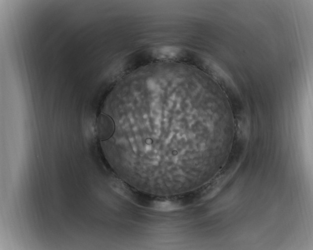 X0000116050561200911271220