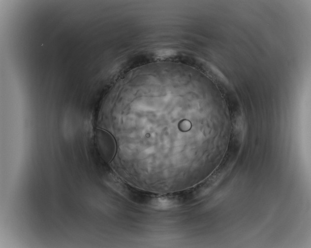 X0000116050565200911271220