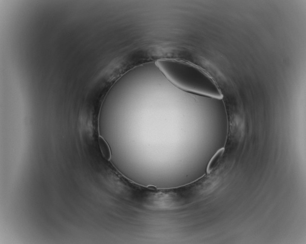 X0000116050566200911271220