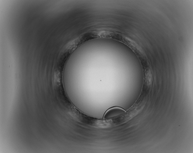 X0000116050571200911271220