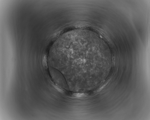X0000116050575200911271220