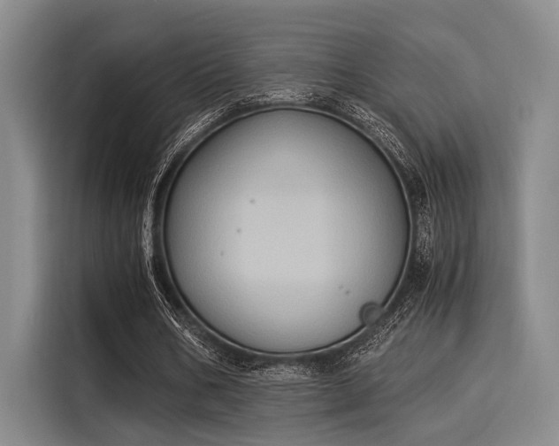 X0000116050578200911271220
