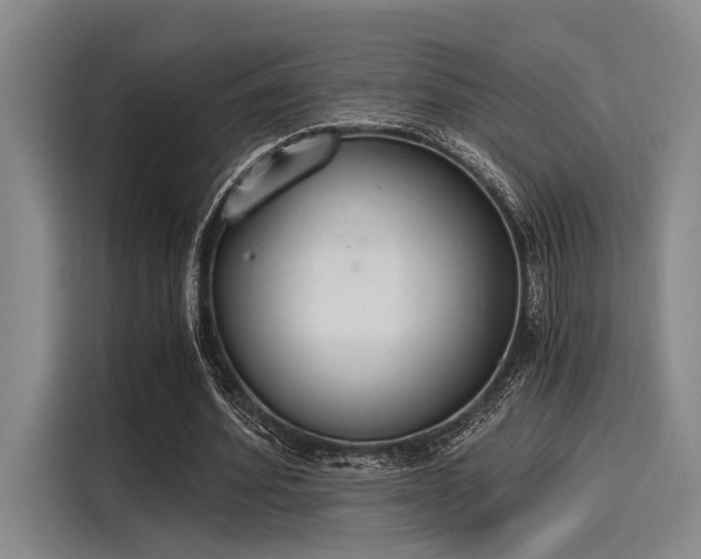 X0000116050580200911271220