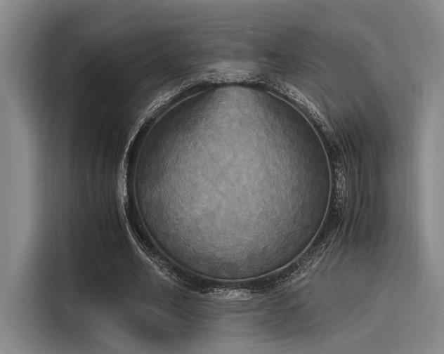 X0000116050582200911271220
