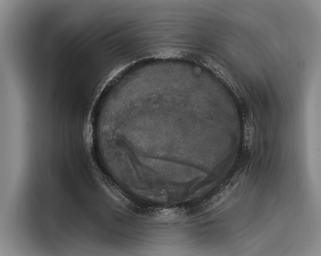 X0000116050584200911271220