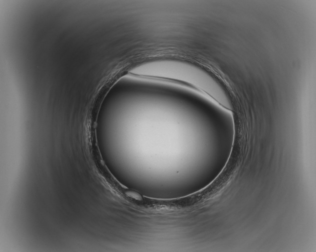 X0000116050585200911271220