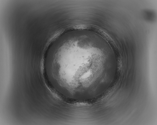 X0000116050586200911271220