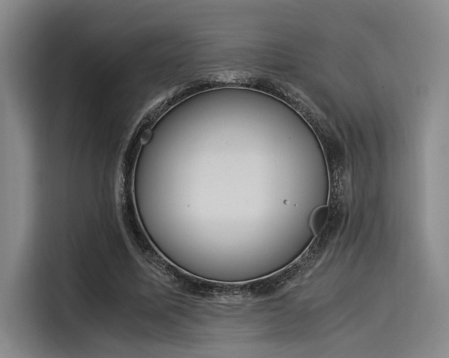 X0000116050587200911271220