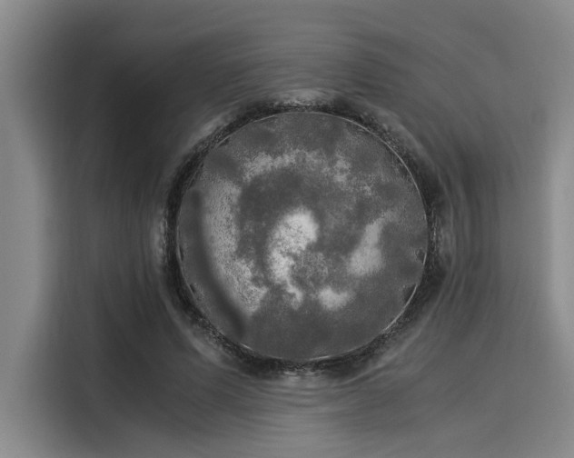 X0000116050591200911271220