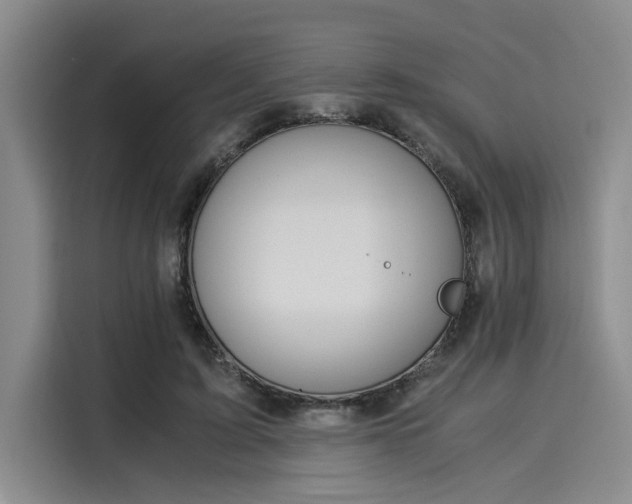 X0000116050595200911271220