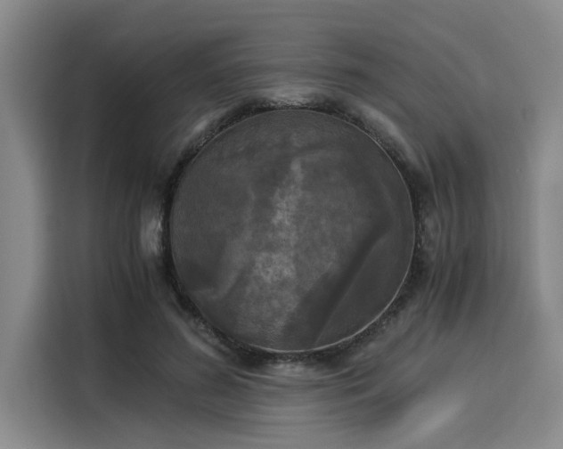 X0000116050596200911271219