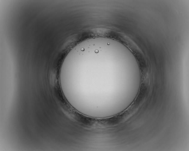 X0000116050599200911271219