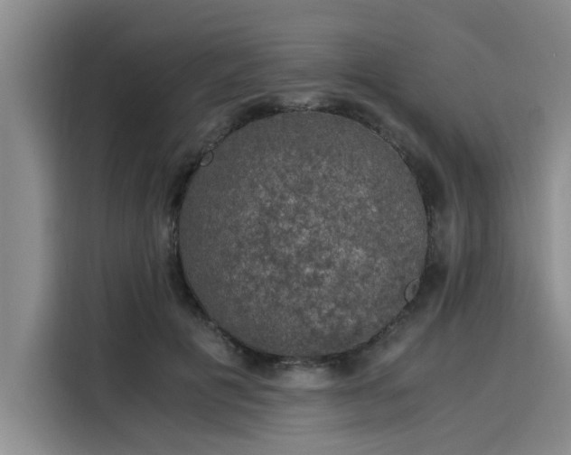 X0000116050601200911271219