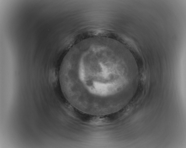 X0000116050607200911271219