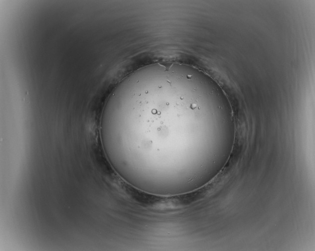 X0000116050609200911271219