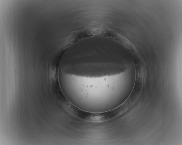X0000116050610200911271219