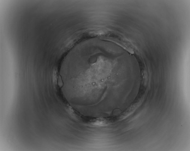 X0000116050612200911271219