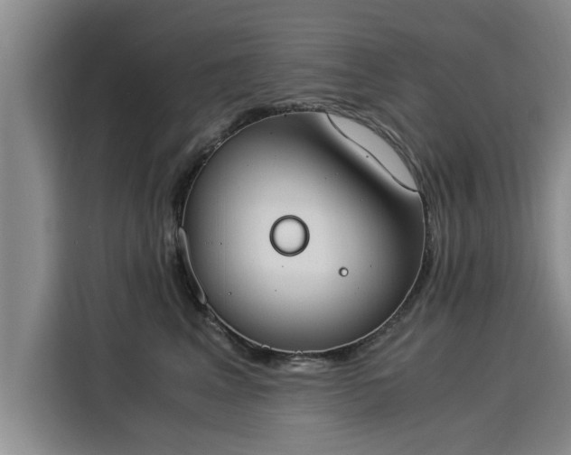 X0000116050617200911271219