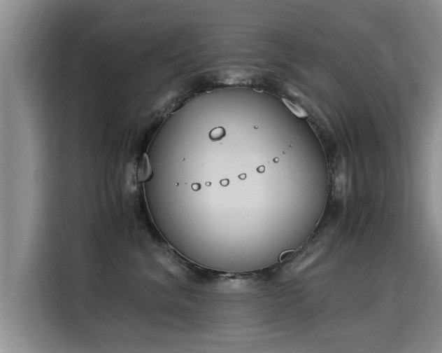 X0000116050620200911271219