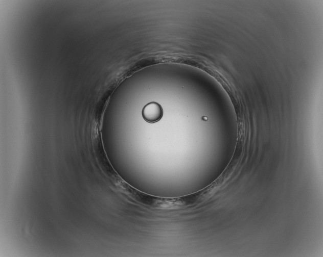 X0000116050621200911271219
