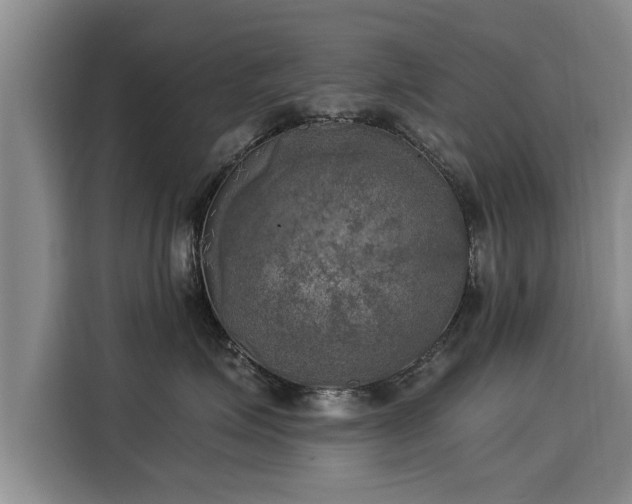 X0000116050623200911271219