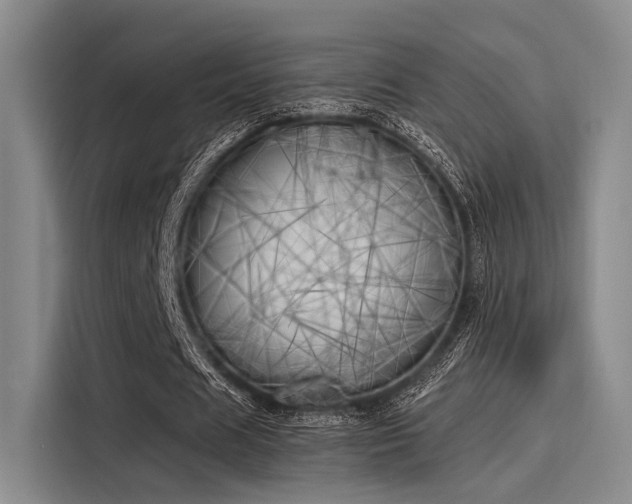 X0000116050625200911271219