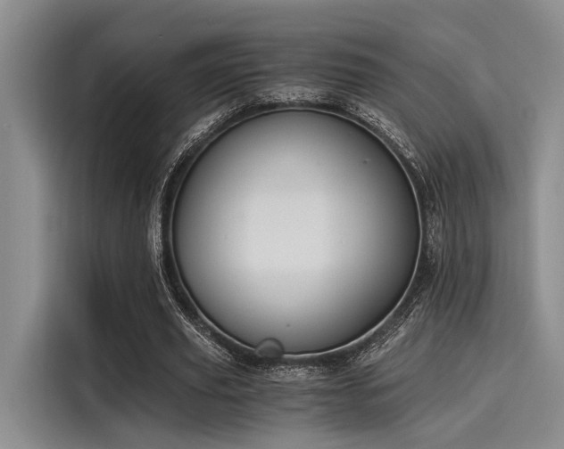 X0000116050629200911271219