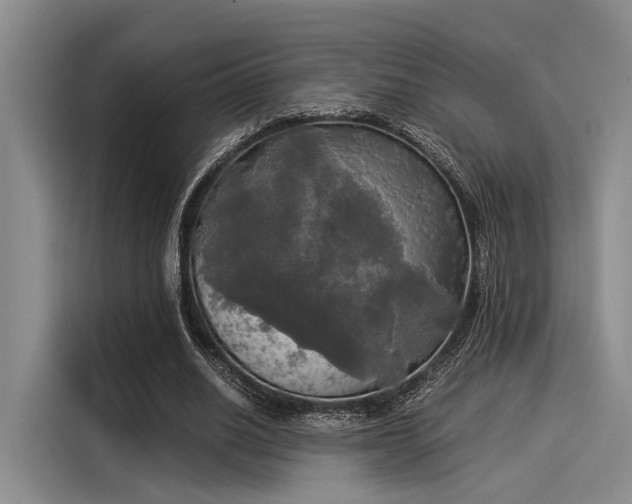 X0000116050630200911271219