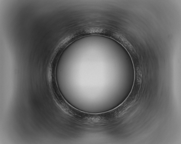 X0000116050631200911271219