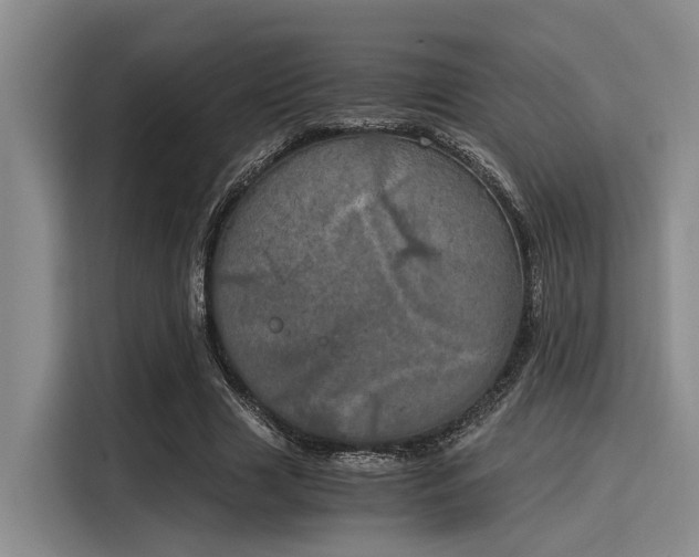 X0000116050633200911271219