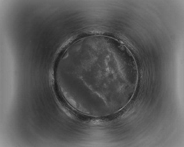 X0000116050634200911271219