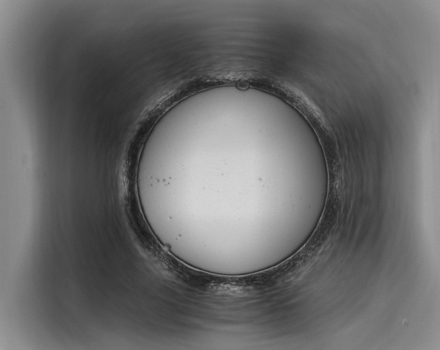 X0000116050635200911271219