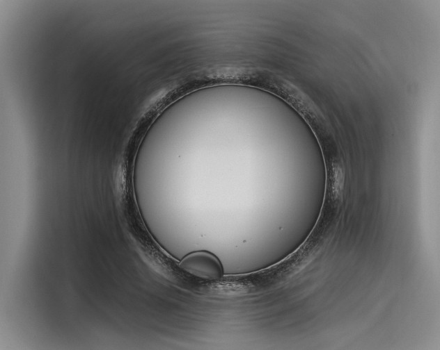 X0000116050636200911271219