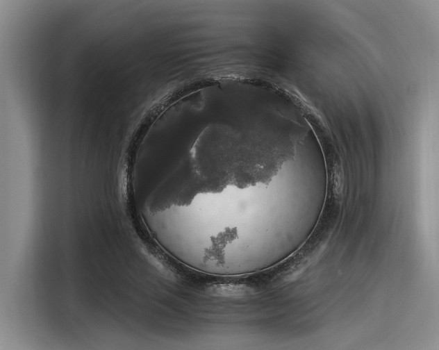 X0000116050637200911271219