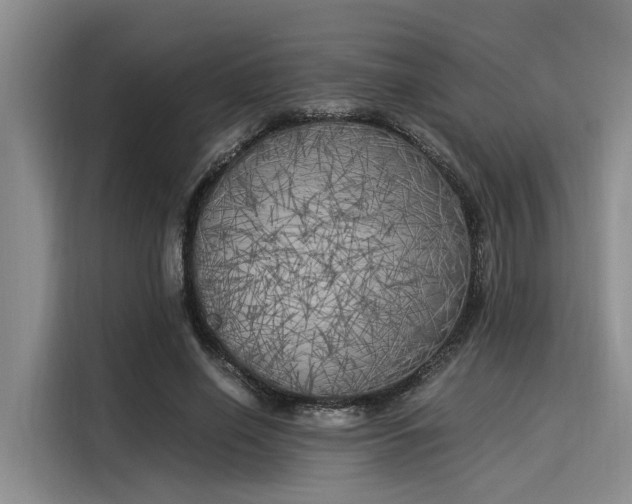 X0000116050638200911271219