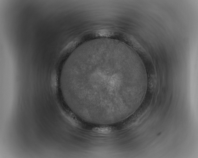 X0000116050639200911271219