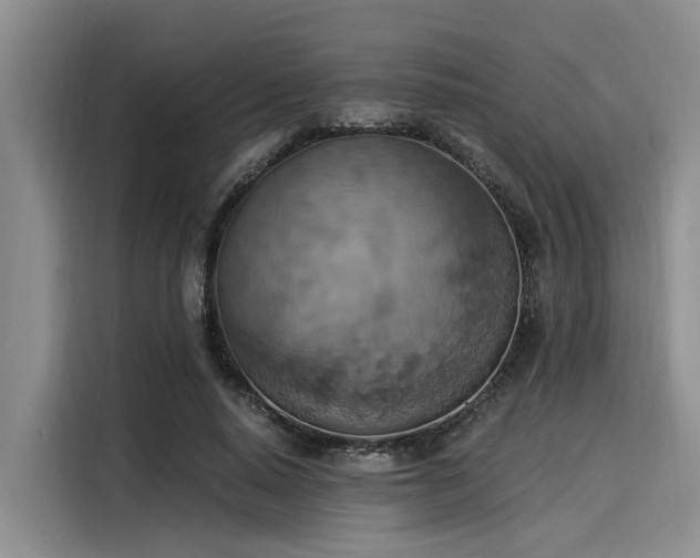 X0000116050640200911271219