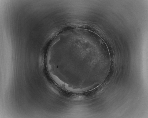 X0000116050642200911271219