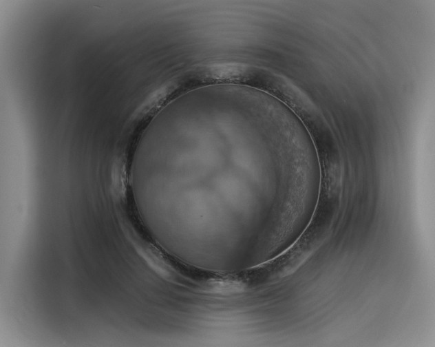 X0000116050644200911271219