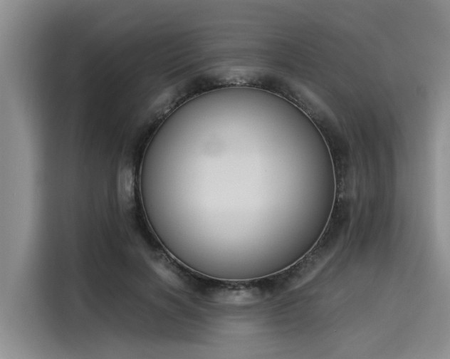 X0000116050646200911271219