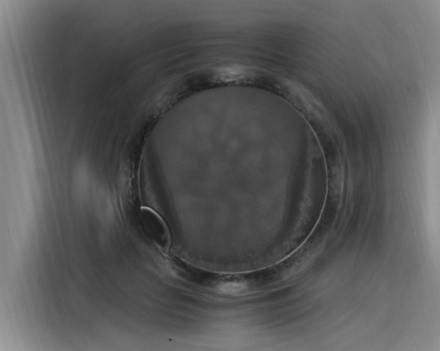 X0000116050653200911271219