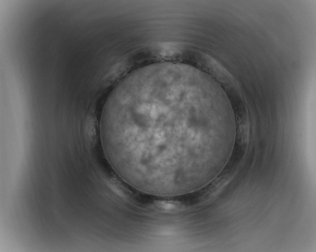 X0000116050654200911271219
