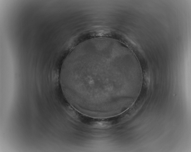 X0000116050657200911271219